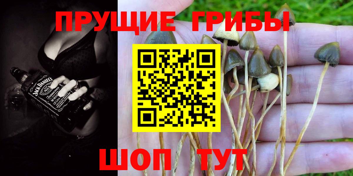 Галлюциногенные грибы MAGIC MUSHROOMS  Вход с VPN  Гусиноозёрск  Псилоцибиновые грибы мицелий 